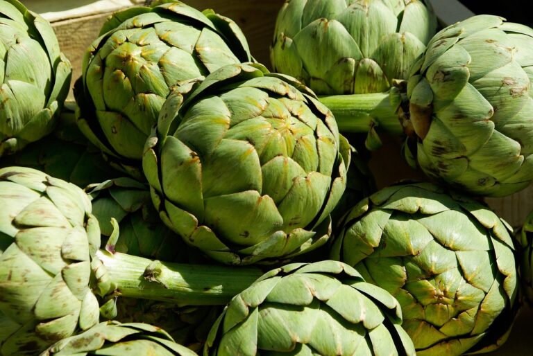 artichokes 759753 1280