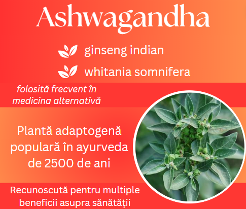 infografic asheagandha, whitania somnifera, ginseng indian