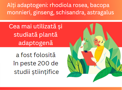 Ashwagandha adaptogen