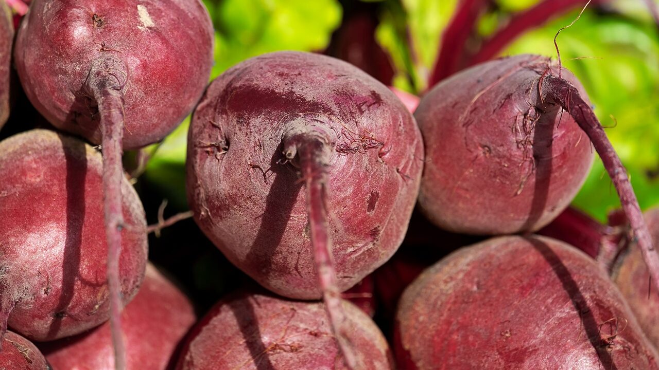 beetroot 3463259 1280 edited