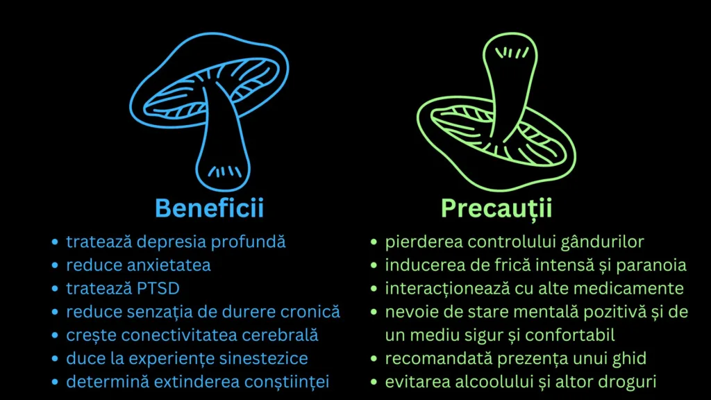 beneficii si precautii descrise ale ciupercilor halucinogene