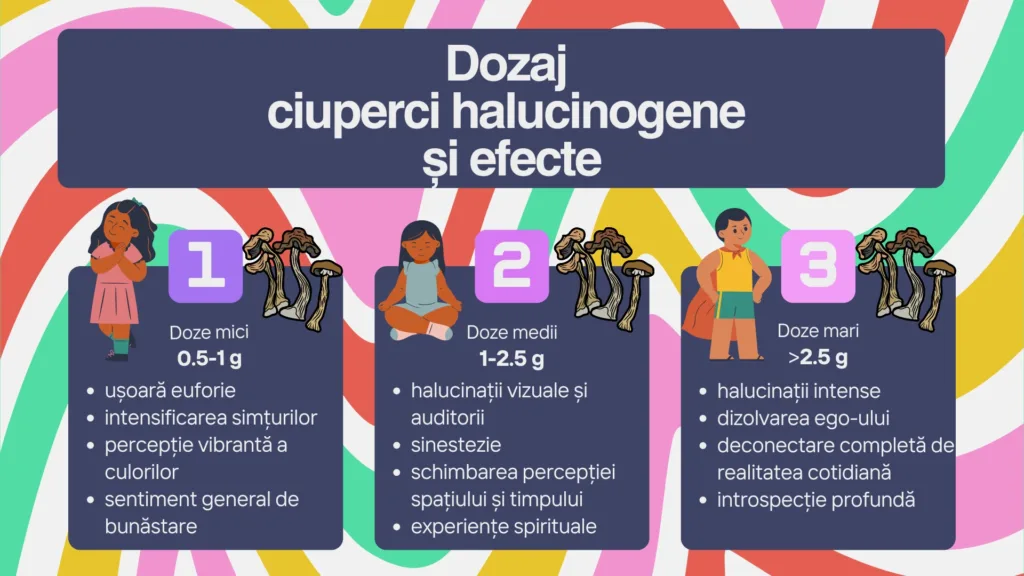 dozaj ciuperci halucinogene si efecte