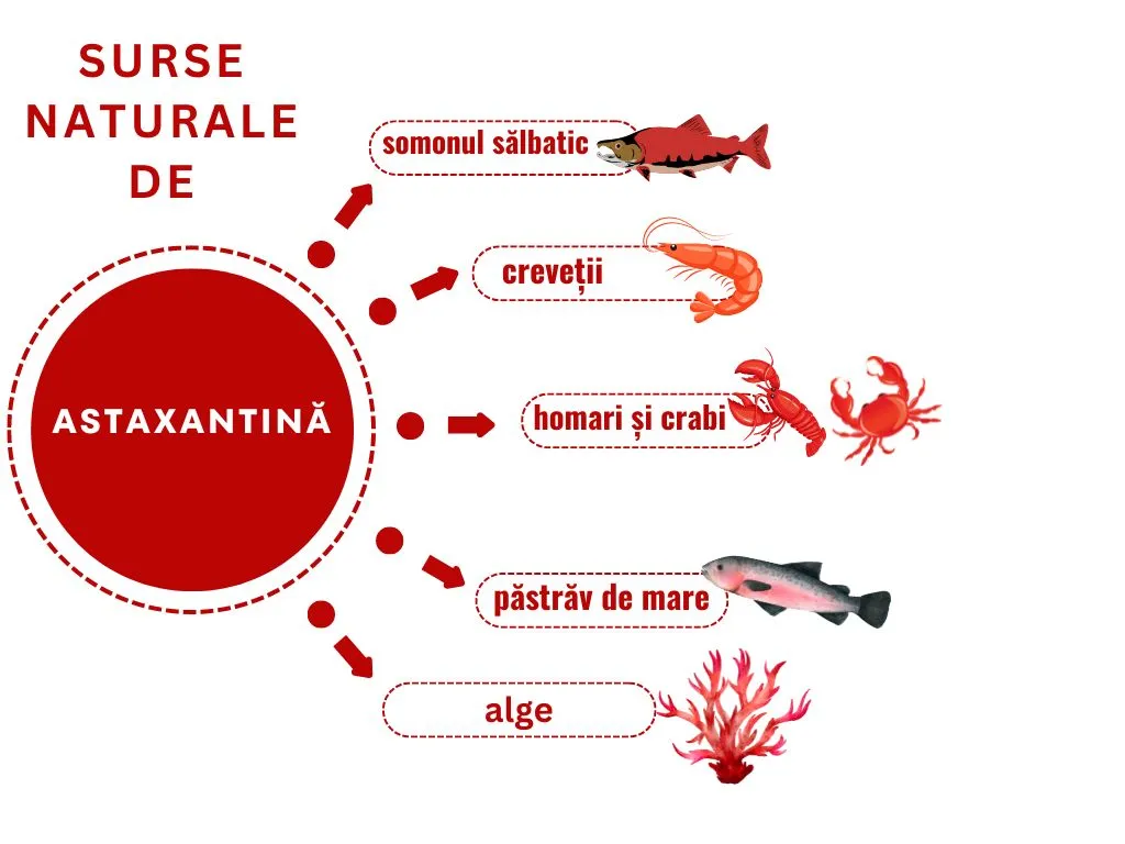 Diagramă cu surse naturale de astaxantină