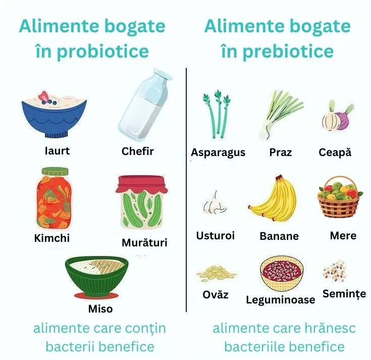 Alimente bogate in prebiotice si alimente bogate in probiotice