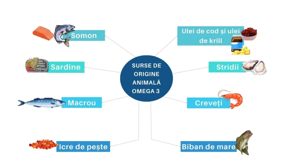 Surse animale bogate in Omega 3