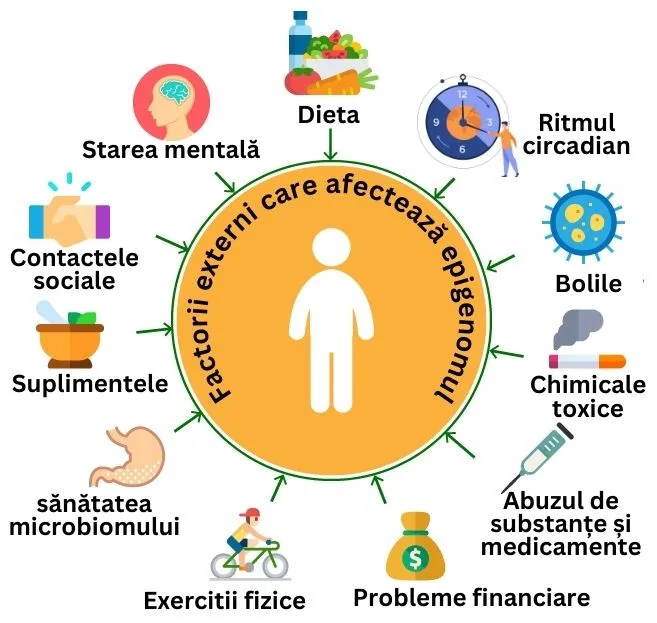 factorii externi care ne influenteaza epigenomul